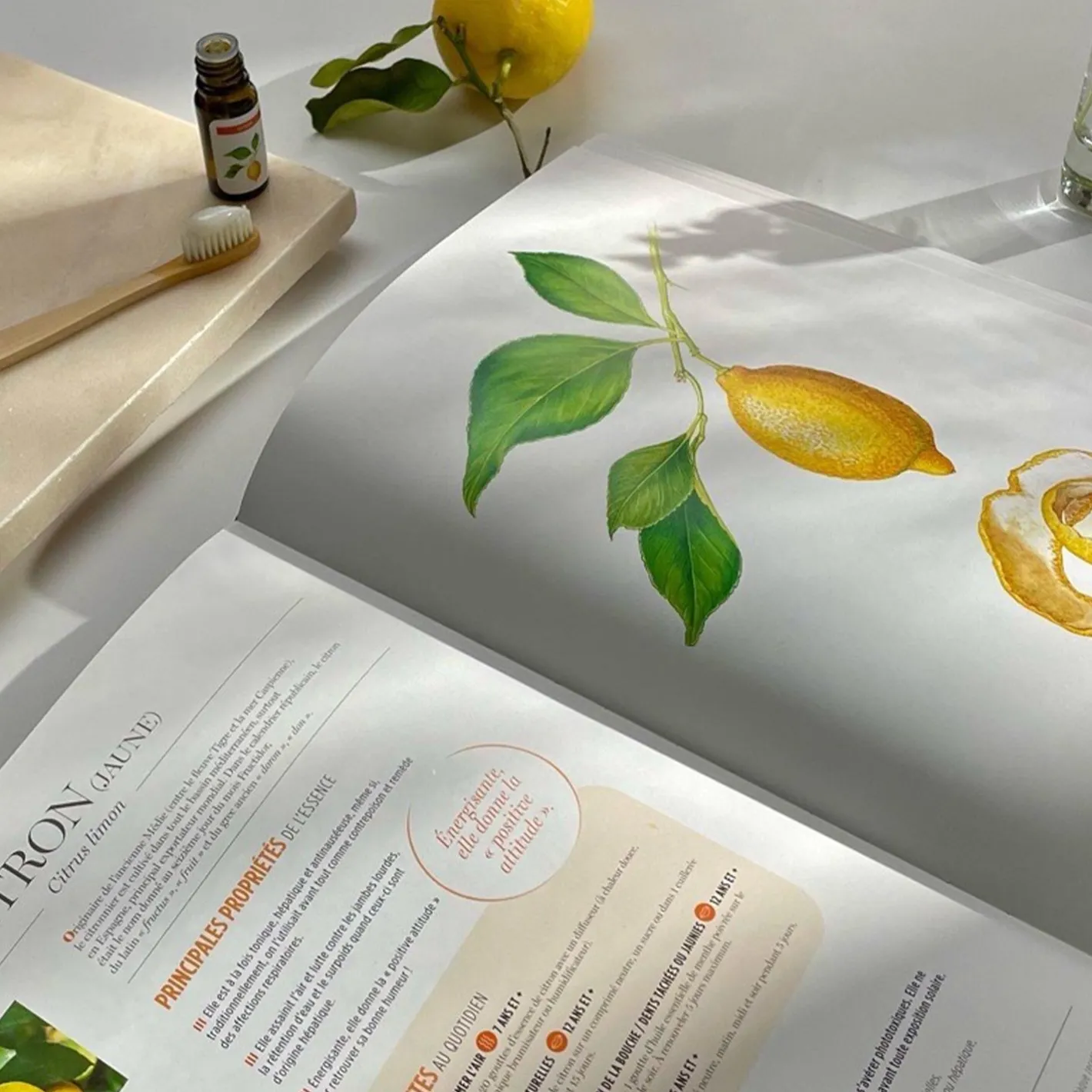 Puressentiel Aromathérapia, le livre des huiles essentielles> Livres