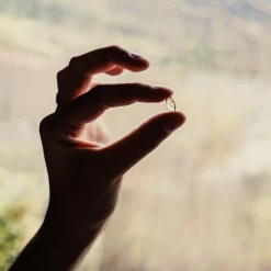 Puressentiel Capsules de Ravintsara BIO> Huiles Essentielles