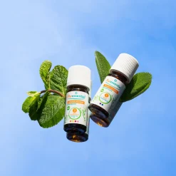 Puressentiel Huile Essentielle Menthe Poivrée BIO><noscript><img width=
